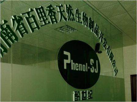 ��������Ȼ����